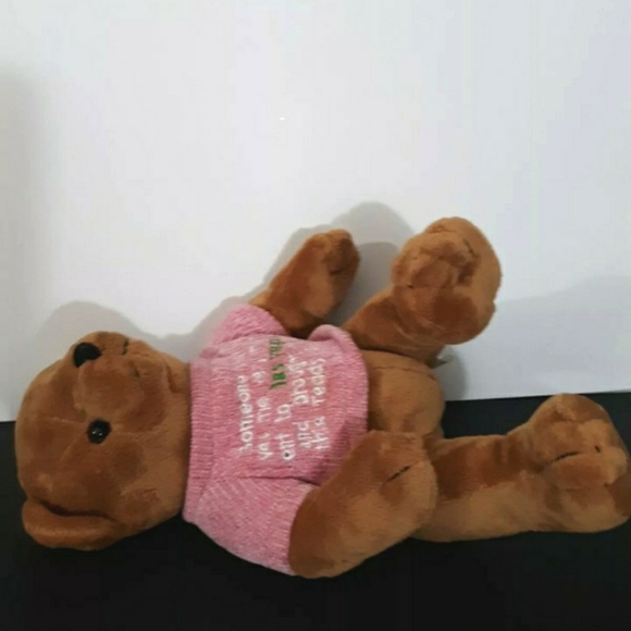 Vtg 10" Bear T Design Vegas Bear toy Stuffed Animal Animal tag's pink sweater - Picture 2 of 11
